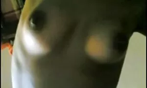 Các video khiêu dâm của các cô gái tóc vàng sẽ không bỏ lỡ cơ hội để có tình dục. Loại tóc vàng, lớn ngăm đen, tình dục, đức phim cap ba nhat ban bo chong nang dau dâm dầu.