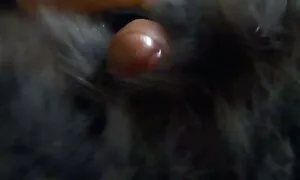 Khiêu dâm video của vẻ đẹp Whitney với bộ ngực lớn phải phim sex bo chong nang dau nhat ban mất một cô gái. Loại to to, ngăm đen, tình dục.